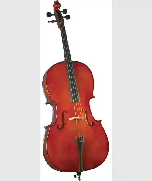 Violoncello Outfit 4/4 HC-100 Cervini - Calidad y Sonido