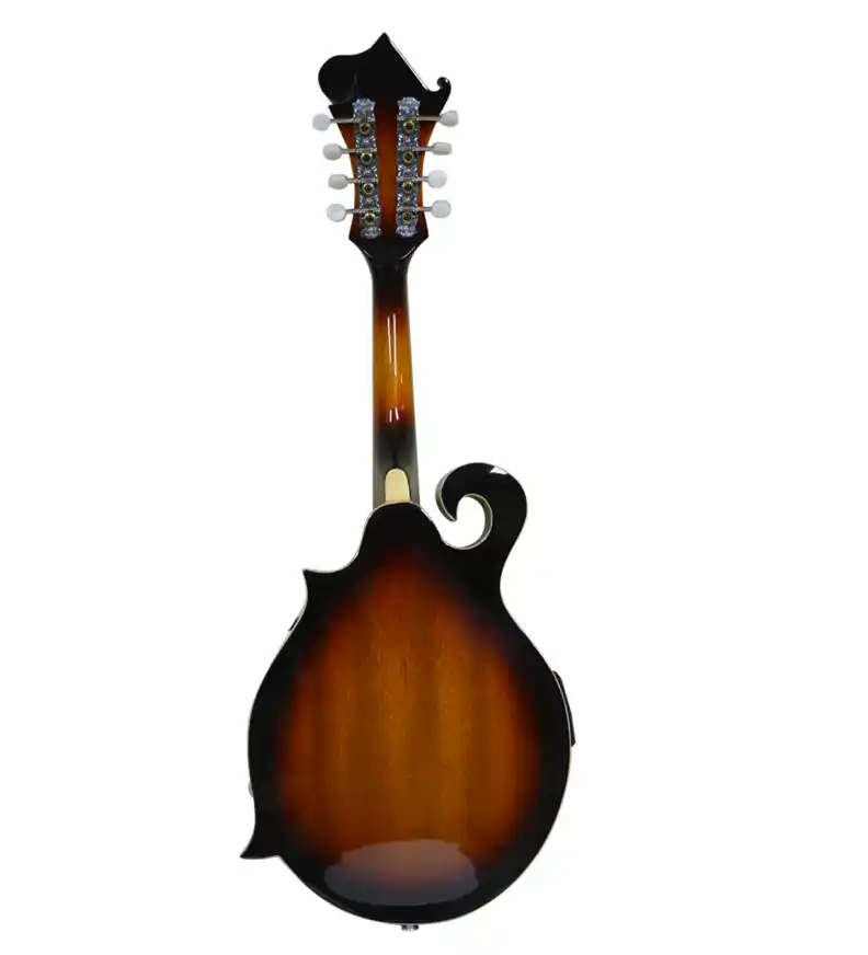 Mandolina Electroacustica 8 Cuerdas - Imagen 3