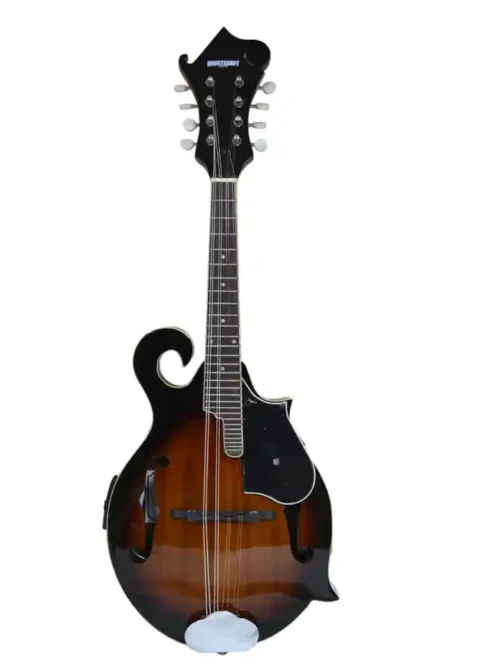 mandolinas 8 cuerdas electroacistica