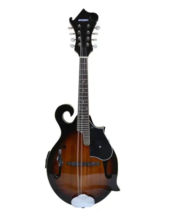 mandolinas 8 cuerdas electroacistica