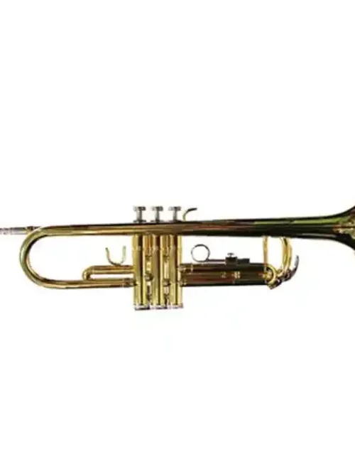Trompeta Allegro Dorada para estudiantes y principiantes | Tienda de instrumentos musicales