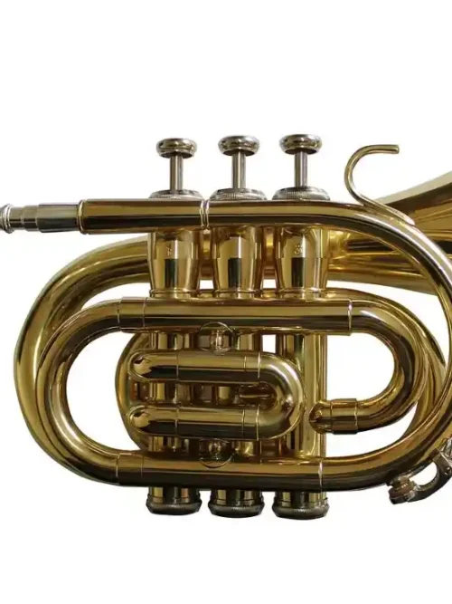 Trompeta Pocket Allegro Bb Dorada, compacta y portátil | Tienda de instrumentos musicales
