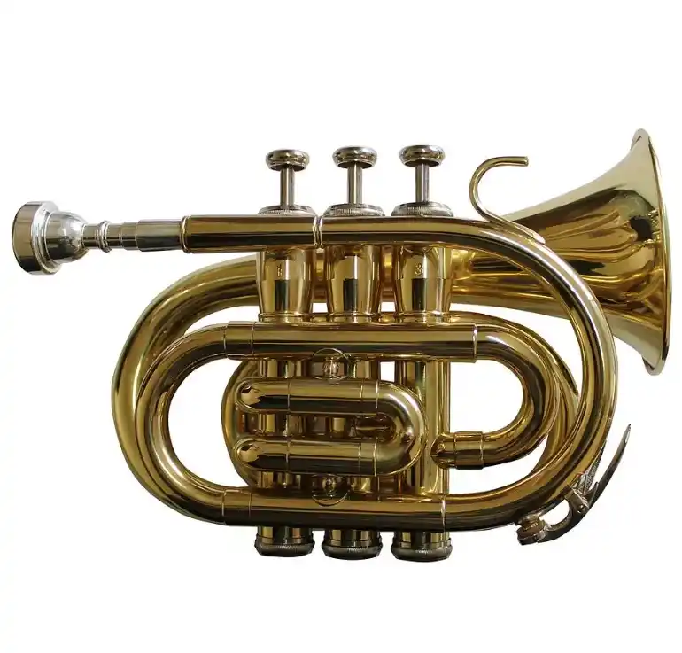 Trompeta Pocket Allegro Bb Dorada, compacta y portátil | Tienda de instrumentos musicales