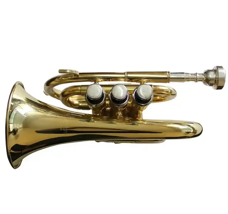 Trompeta Pocket Allegro Bb Dorada, compacta y portátil | Tienda de instrumentos musicales