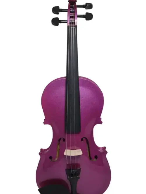 Violín Púrpura 4/4 Livorno con arco, resina y estuche | Tienda de instrumentos musicales.