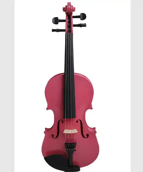 Violín Rosado 4/4 Livorno con arco, resina y estuche | Tienda de instrumentos musicales