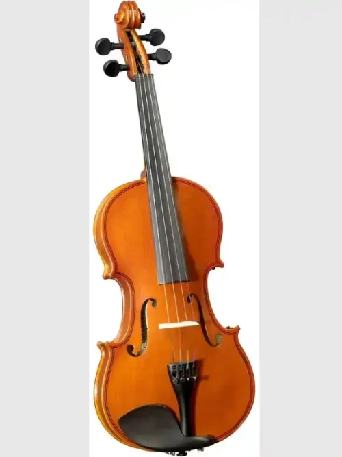 Violín 1/8 Cervini con arco, resina y estuche | Tienda de instrumentos musicales