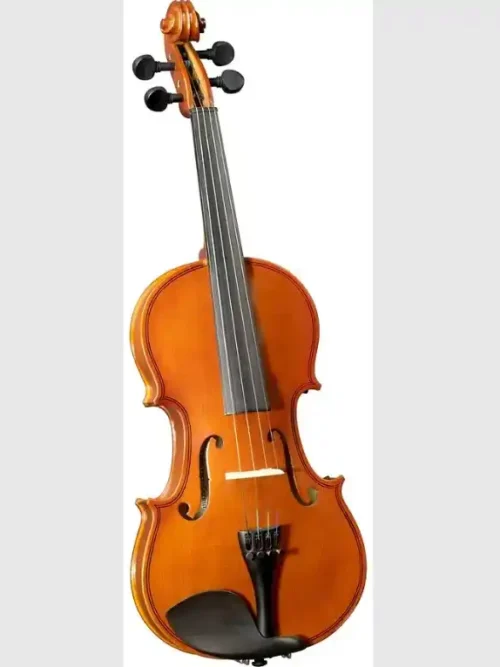 Violín 3/4 Cervini con arco, resina y estuche | Tienda de instrumentos musicales