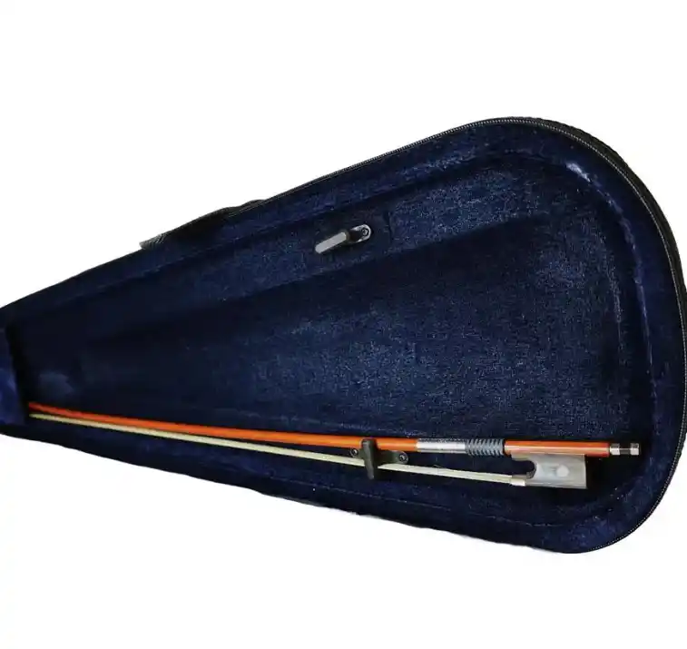 Violín Outfit 4/4 Cervini con arco, resina y estuche | Tienda de instrumentos musicales.