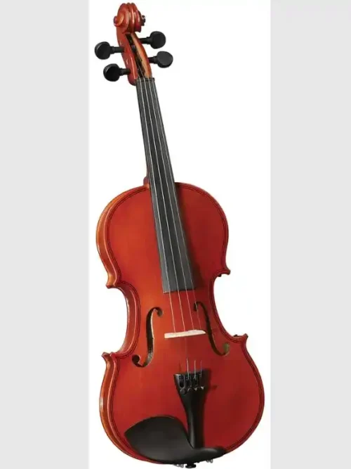 Violín Outfit 4/4 Cervini con arco, resina y estuche | Tienda de instrumentos musicales.
