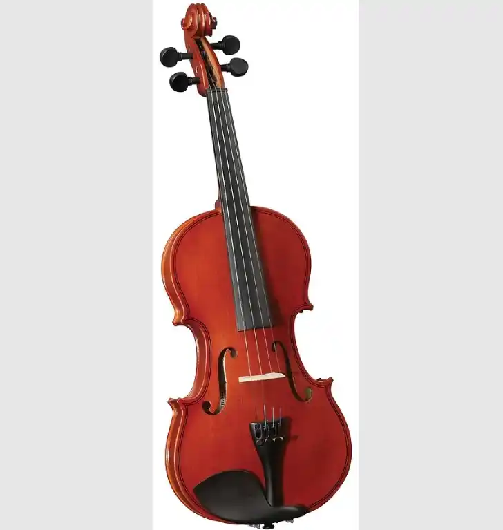 Violín Outfit 4/4 Cervini con arco, resina y estuche | Tienda de instrumentos musicales.