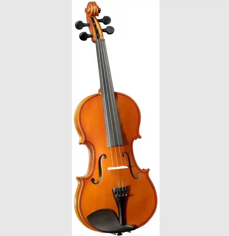Violín Outfit 4/4 Cervini con arco, resina y estuche | Tienda de instrumentos musicales