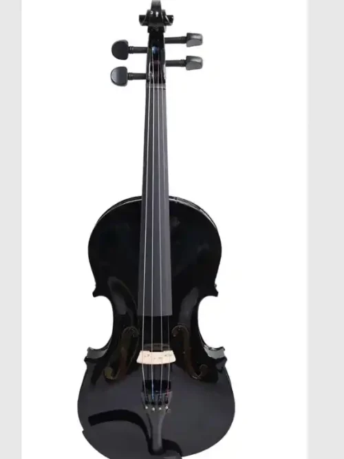 Violín Negro 3/4 Livorno para estudiantes, incluye arco y estuche | Tienda de instrumentos musicales