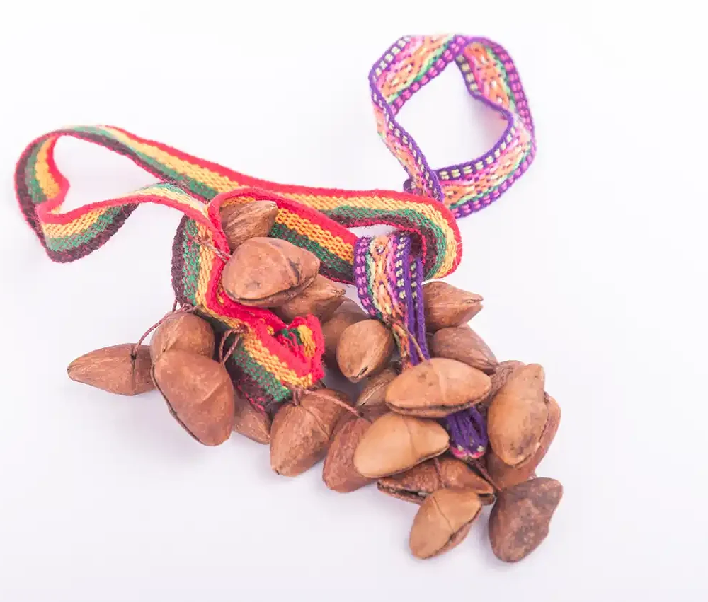 Sonajero de semillas peruano con cinta para muñeca