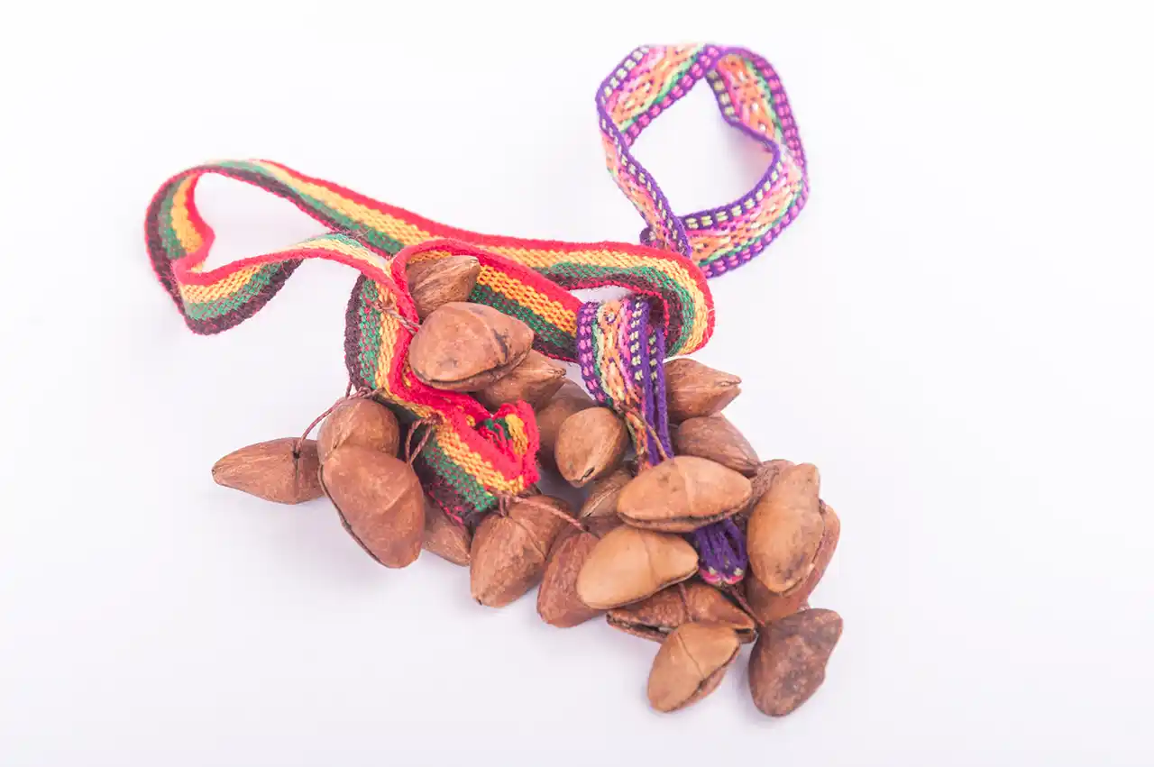 Sonajero de semillas peruano con cinta para muñeca