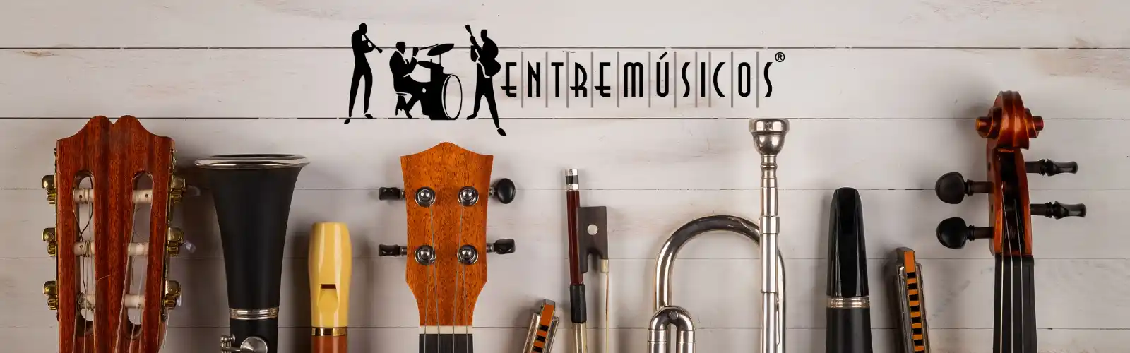 banner entremusicos