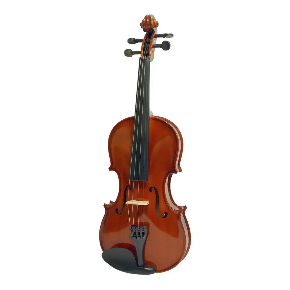 Viola Heinz Etinger 13 pulgadas con estuche rígido Oxford y arco de madera de nuez