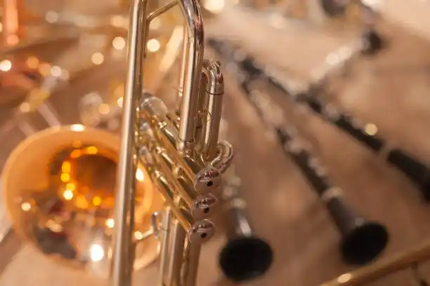 Instrumentos de Viento