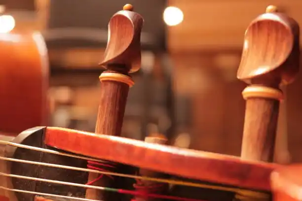 Instrumentos de Cuerda de Orquesta