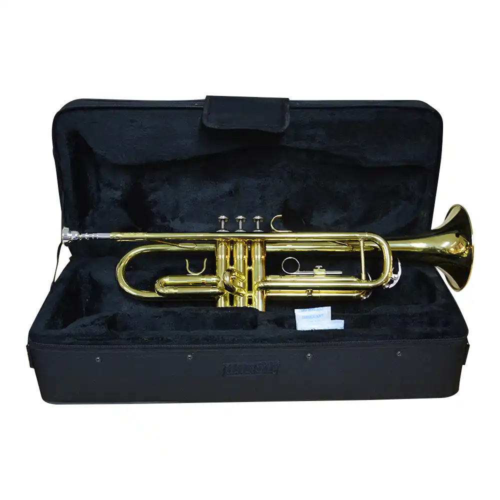 Trompeta dorada Bellagio TRO-82 en Bb con case e ideal para estudio musical