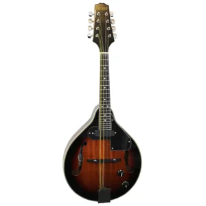 mandolina electroacustica bilbao sunburst